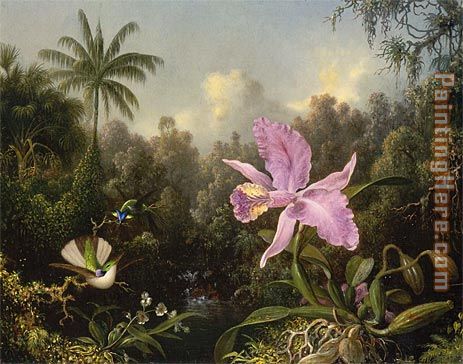 Orchid and Two Hummingbirds